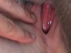 Animal sex 8
