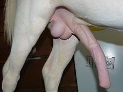 Beast jizz