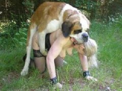 Beasty Flix